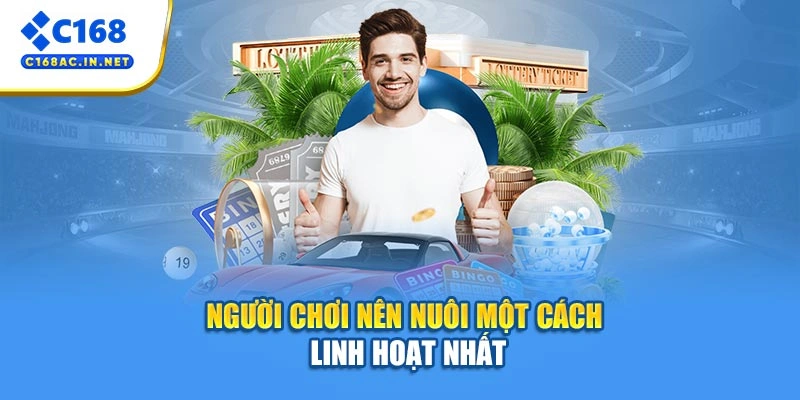 Dàn Đề 36 Số - Bí Kíp Chốt Số Chuẩn Xác Và An Toàn 4 Người chơi nên nuôi một cách linh hoạt nhất