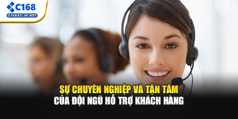Liên Hệ C168 3 Sự chuyên nghiệp và tận tâm của đội ngũ hỗ trợ khách hàng